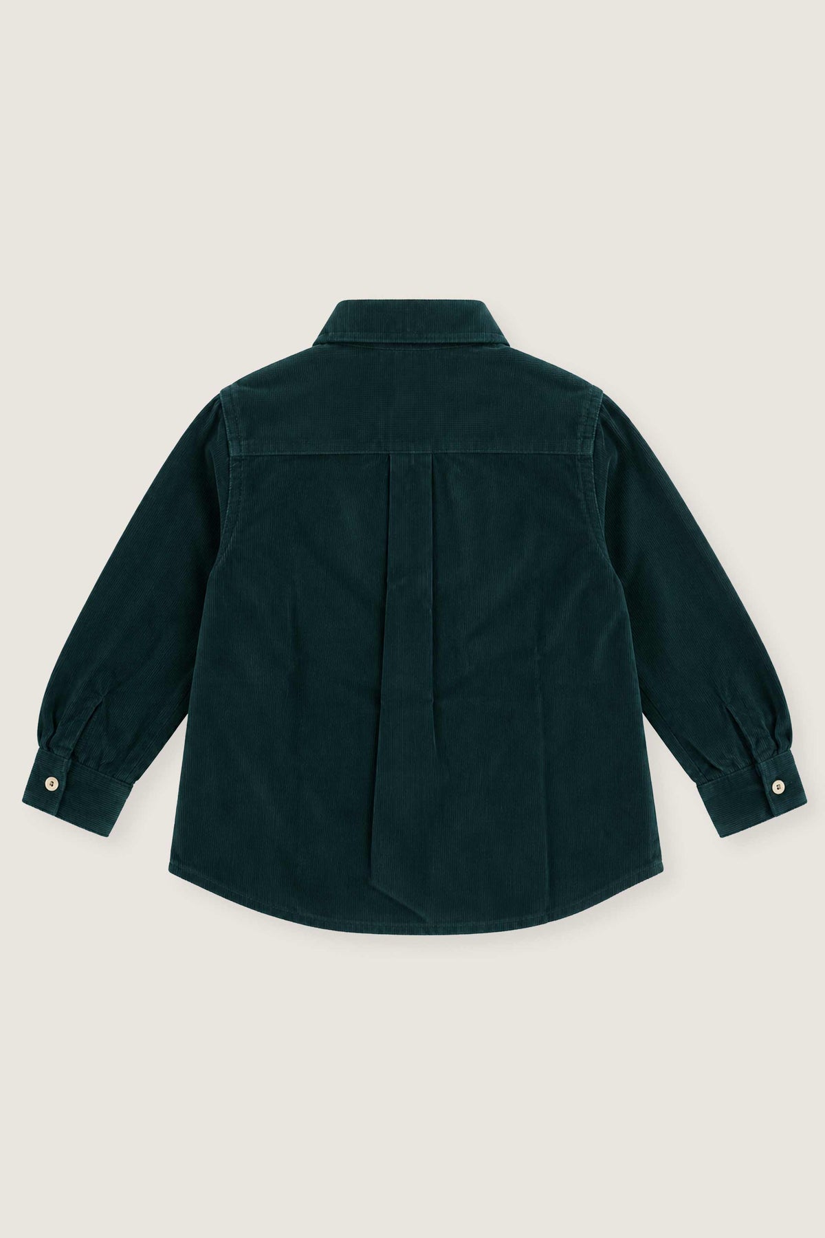 CAMISA MICROPANA BOTTLE