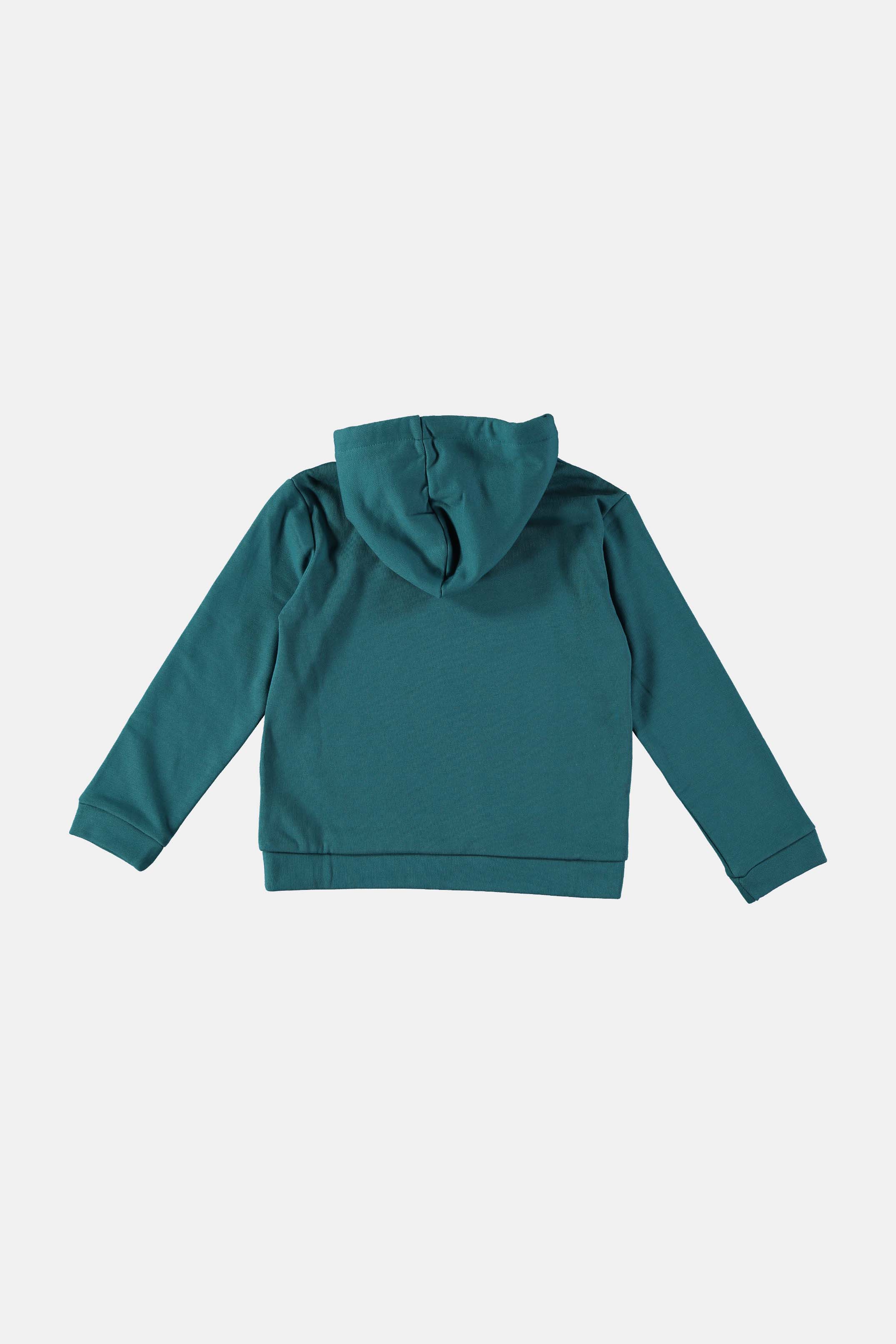 Coco Au Lait Logo hoodie Sweatshirt Shaded Spruce